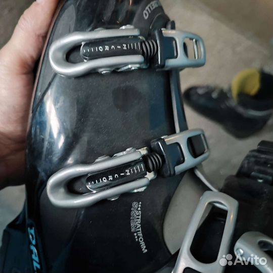 Горнолыжные ботинки dalbello