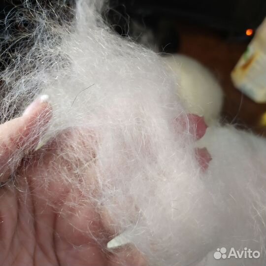 Пух белый