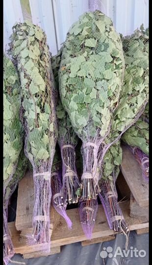 Веники березовые для бани опт доставка банные