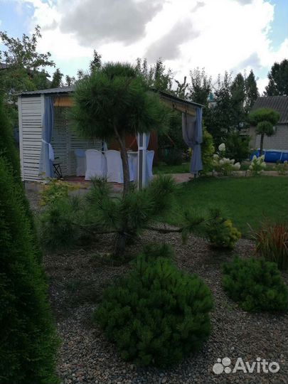 Садовый дизайн