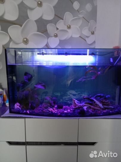 Украшение для аквариума