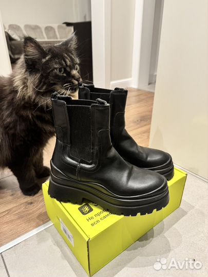 Полусапоги челси stradivarius 36 р