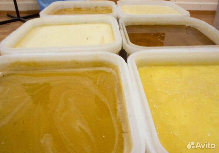 2024 Мёд натуральный алтайский опт