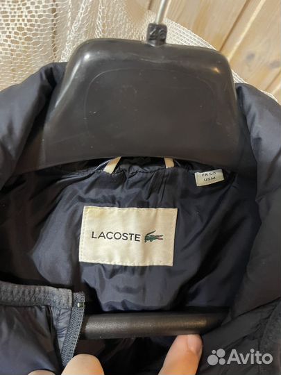 Пуховик мужской lacoste оригинал
