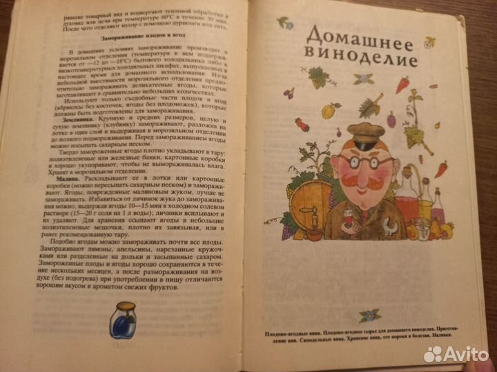 Рачительному хозяину(книга по сельскому хозяйству)