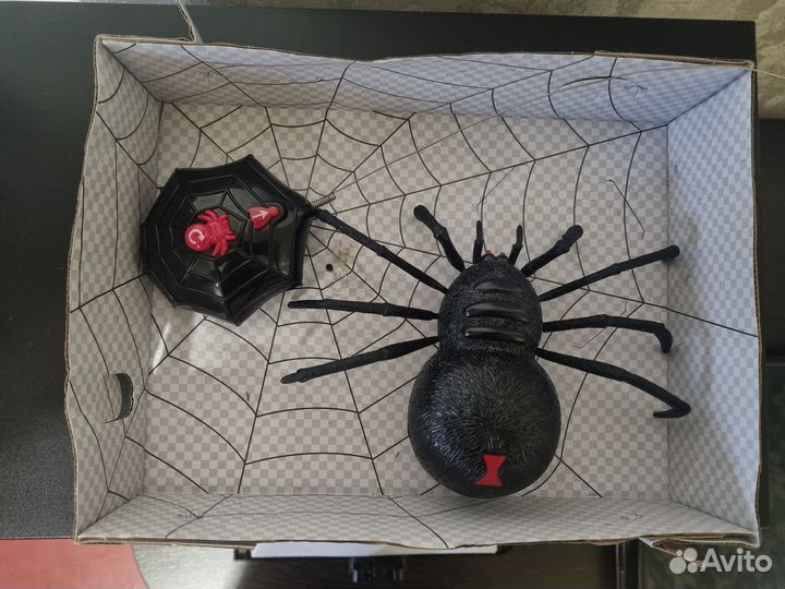 Паук на пульте управления
