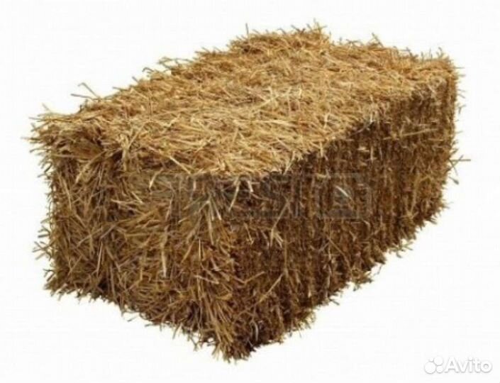 Солома пшеничная в тюках