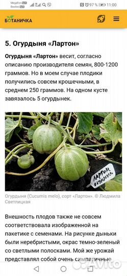 Рассада и семена