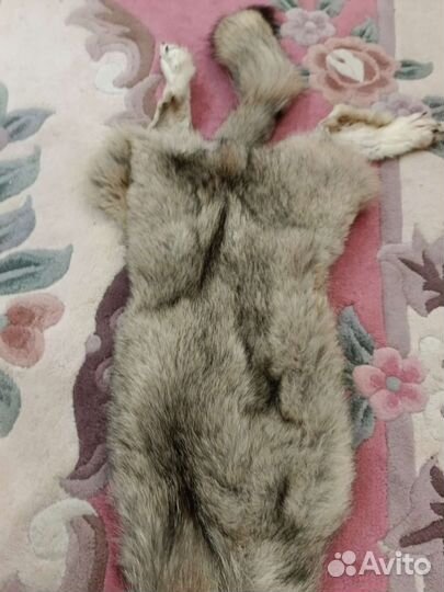 Шкурка волка