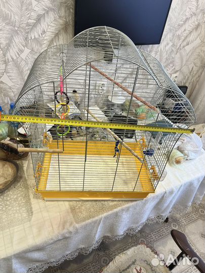 Клетка для попугая