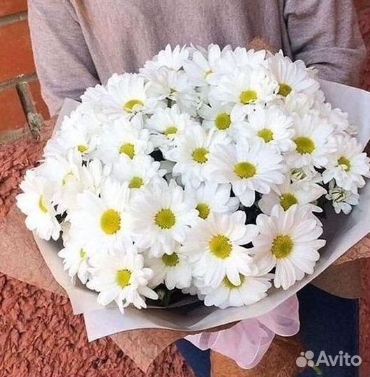 Хризантема. Букеты Цветы доставка