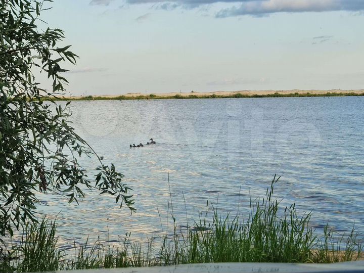 Участок 6 сот. (СНТ, ДНП)
