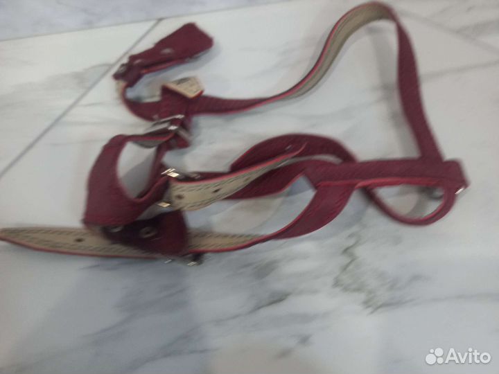 Шлейка для собаки