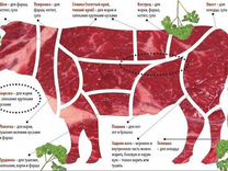 Ферма в 150 км от Москвы / Мясо переработка