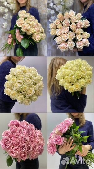 Розы России оптом от производителя