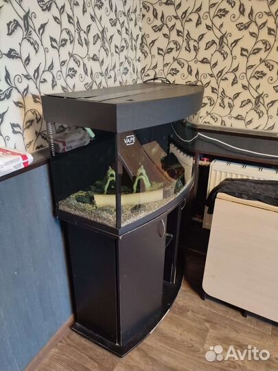 Аквариум
