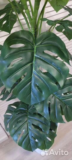 Искусственные растения для декора