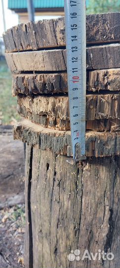 Спилы дуба слэб для поделок в интерьере