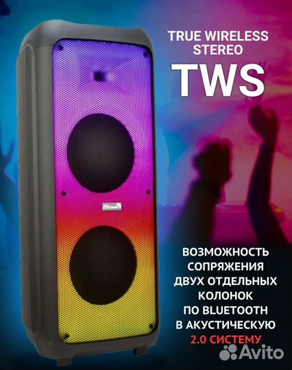 Колонка Eltronic 20 56