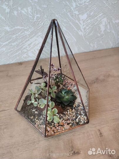 Флорариум, подарок на 14 февраля