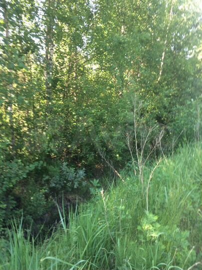 Участок 10 сот. (СНТ, ДНП)