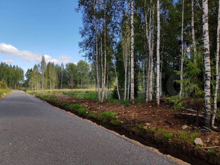 Участок 6,4 сот. (СНТ, ДНП)