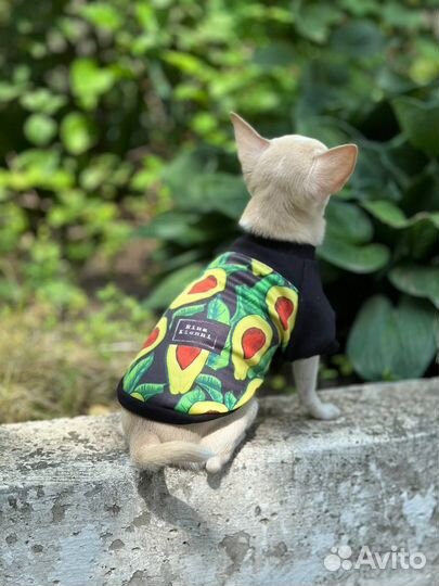 Футболка для собак