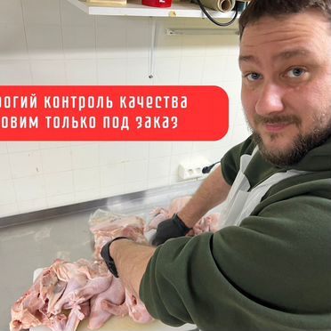Курица домашняя бройлер. Куры деревенские