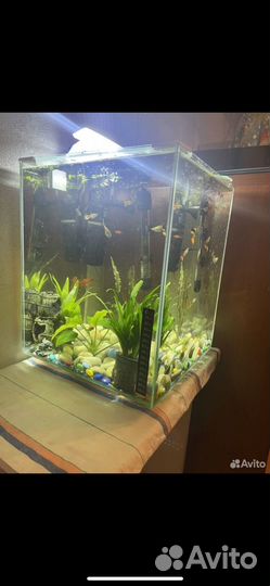 Аквариум с тумбой