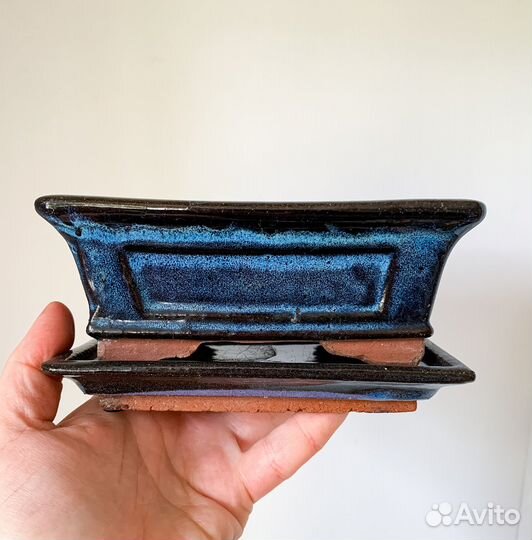 Бонсайницы, кактусник, мини садик