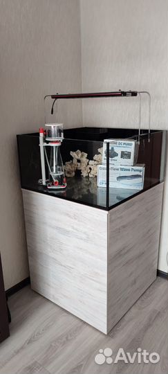 Морской аквариум