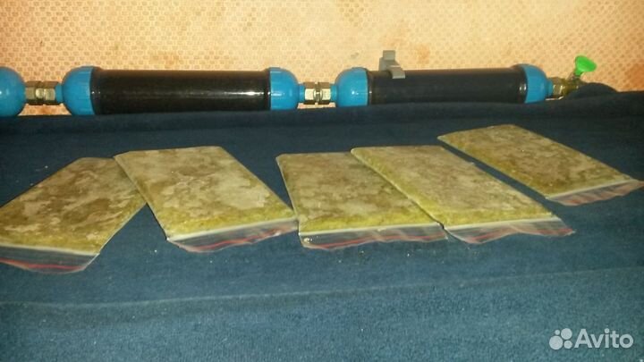 Замороженная коретра