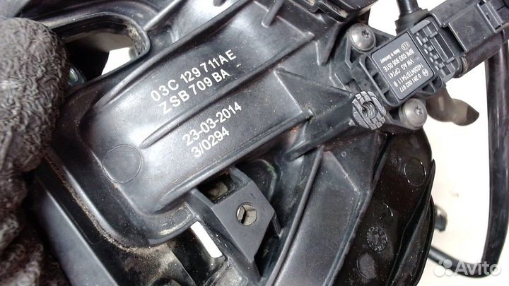 Коллектор впускной Volkswagen Tiguan, 2014