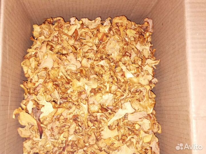 Грибы лисички. Сушеные