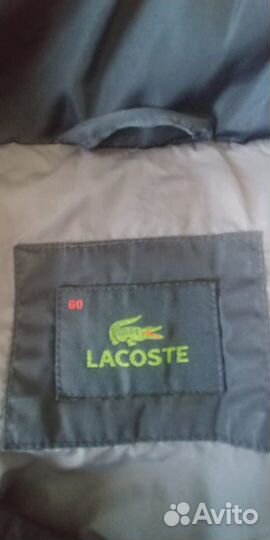 Зимняя мужская куртка Lacoste