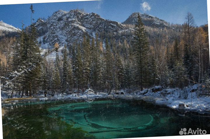 Путевка Алтай зимний экскурсии до 7-ми дн