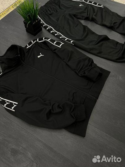 Спортивный костюм мужской puma