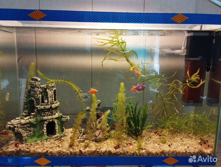 Аквариум с рыбками