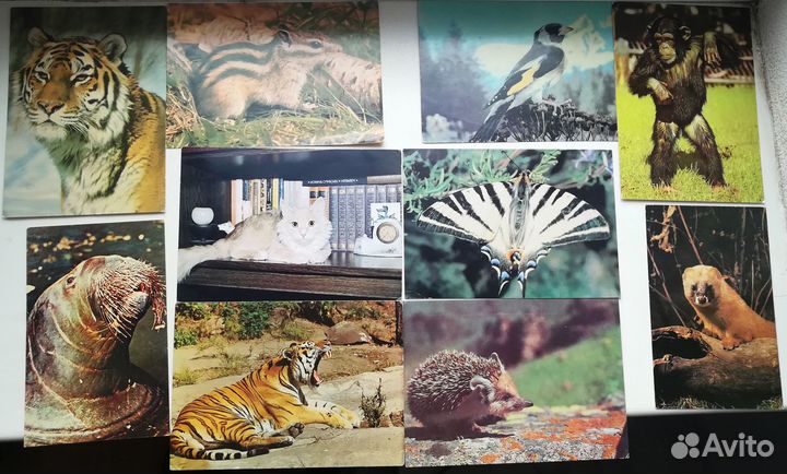 Почтовые открытки СССР. Возможна продажа по отдел