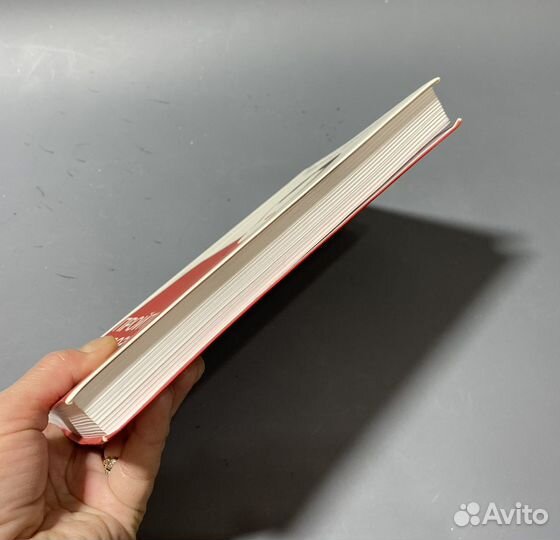 М. Абрамович. Пройти сквозь стены