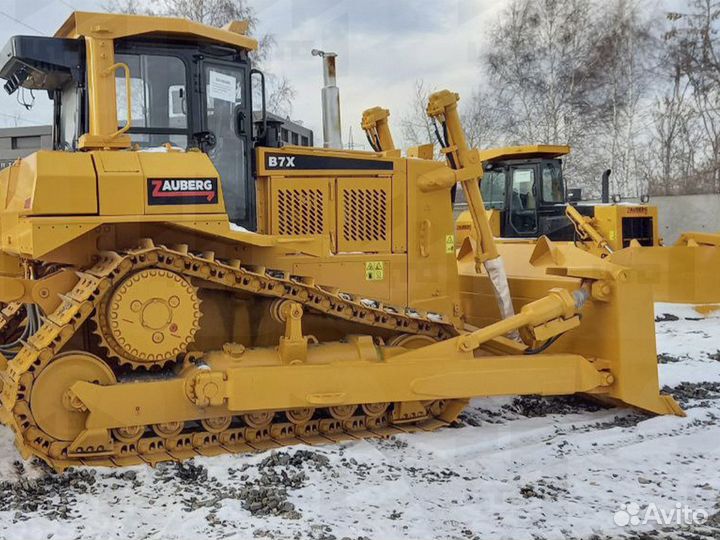 Zauberg B5, 2024