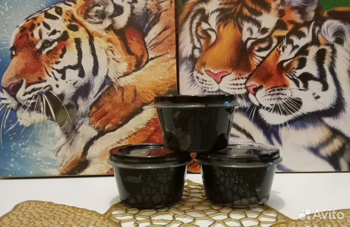 Мумие алтайское