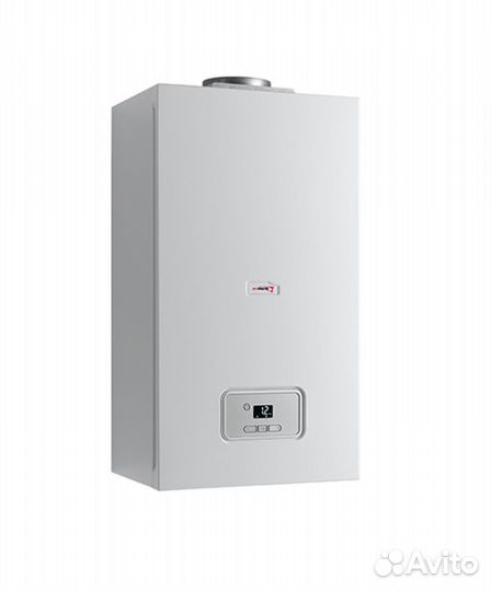 Газовый котел настенный Протерм Гепард Protherm