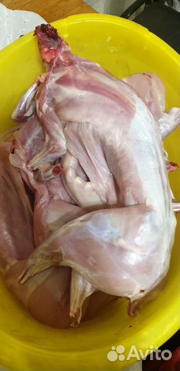 Мясо кролика