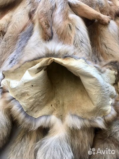 Лисья шкура