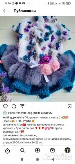 Одежда для маленькой собачки. Новое