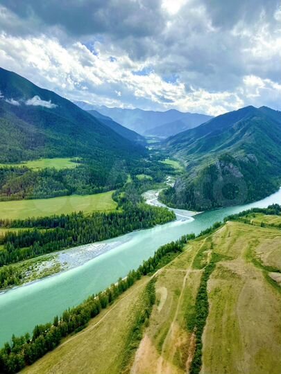 Участок 100 сот. (СНТ, ДНП)