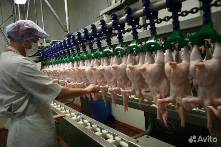 Фасовщик на Мясное производство Вахта с проживание