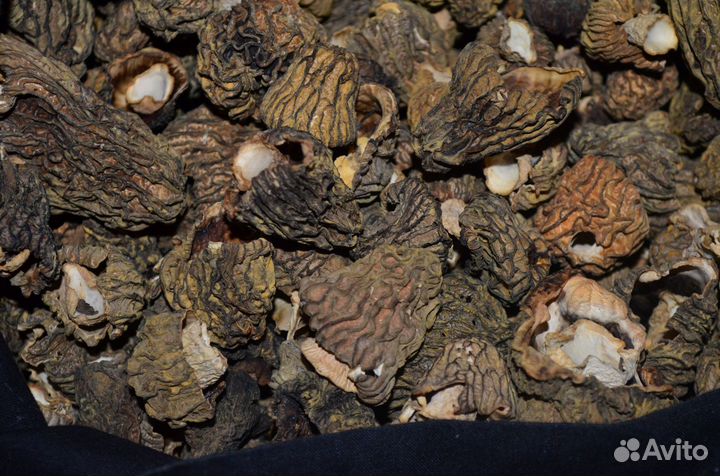 Грибы Сморчки Сушеные и Строчки Сухие