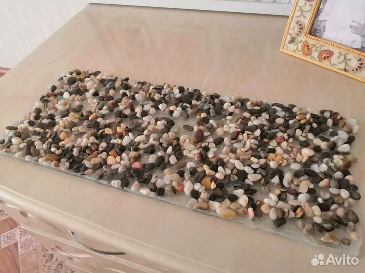 Аквариум черепашник